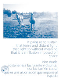 horses_borges1