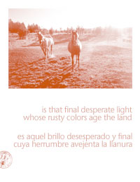 horses_borges1