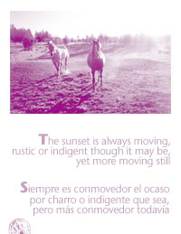horses_borges1