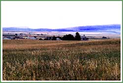 Homestead, Montana