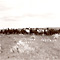 horse ranch