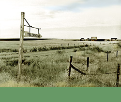 montana homestead