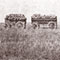 Wagons carrying wheat