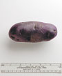 Potato variety