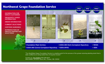 Northwest Grape Foundation Services